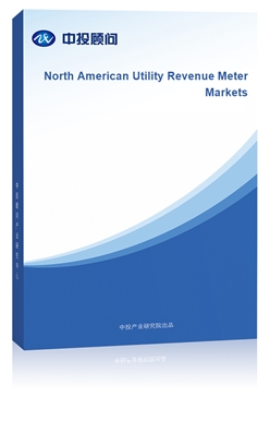 North American Utility Revenue Meter Markets