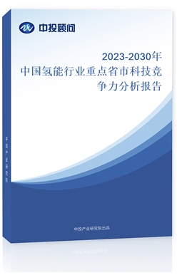 2023-2030ЇИI(y)c(din)ʡпƼ